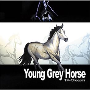 Download track Berry Pickin Young Grey Horse