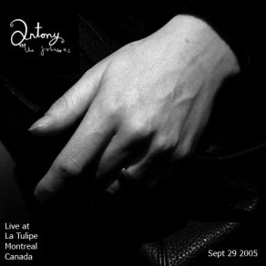 Download track I Wanna Dance With Somebody Antony And The Johnsons