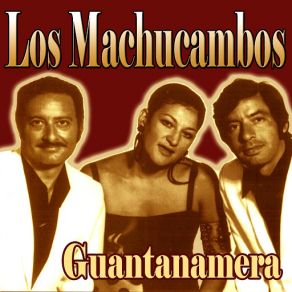 Download track Sapore Di Sale Los Machucambos