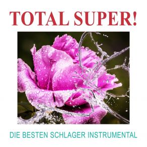 Download track Ein Stern Total Super!