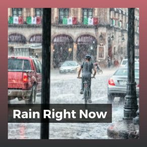 Download track Walking In The Rain The Rain
