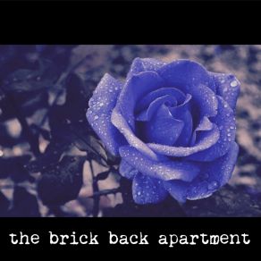 Download track Bluish The Brick Back Apartment