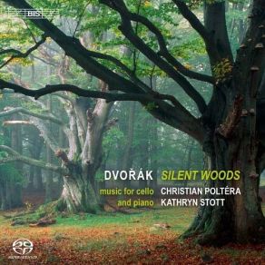 Download track Songs My Mother Taught Me, Op. 55 No. 4 Antonín Dvořák