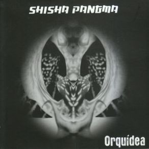 Download track Shishapangma Simon Fisher Turner