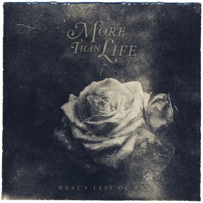 Download track You Re Not Alone More Than Life