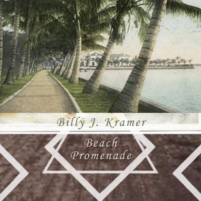 Download track The Twelfth Of Never Billy J. Kramer & The Dakotas