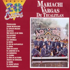 Download track La Feria De Las Flores Mariachi Vargas De Tecalitlán