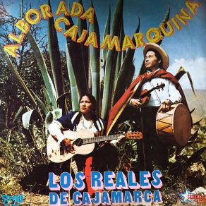 Download track Dices Que Te Vas Los Reales De Cajamarca