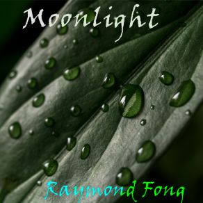 Download track Slow Dancing In The Dark Raymond Fong