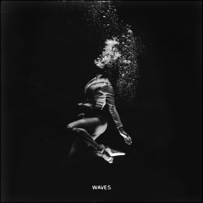 Download track Waves (Extended Mix) Devin Wild