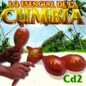 Download track TABACO Y RON Cumbia, Rodolfo, Su Tipica RA7