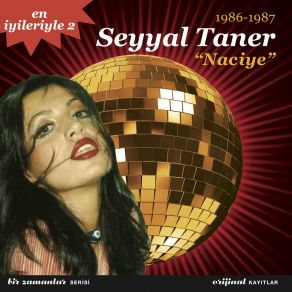 Download track Dağlar Seyyal Taner