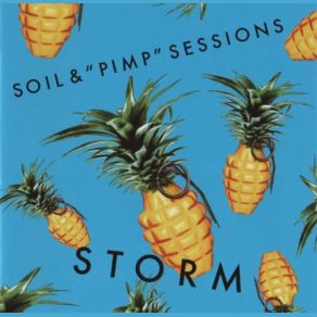 Download track Storm Soil & 