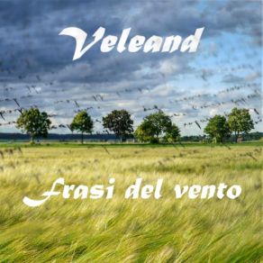 Download track La Gioia Di Una Sera Veleand