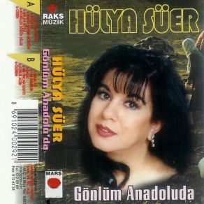 Download track Yar Demedin Hülya Süer
