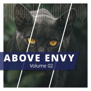 Download track Black Stripes Above Envy