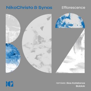 Download track Efflorescence Synas