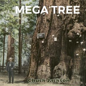 Download track My Willow Tree Chuck Jackson