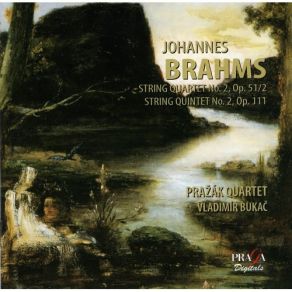 Download track 8. String Quintet No. 2 In G Op. 111: IV. Vivace Ma Non Troppo Presto Johannes Brahms