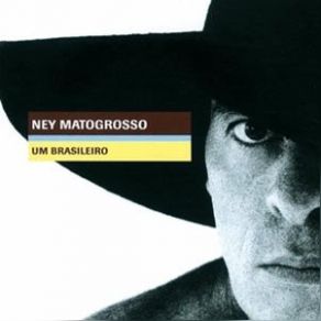 Download track Homenagem Ao Malandro Ney Matogrosso
