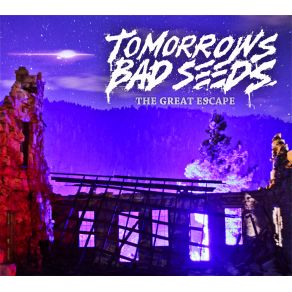 Download track Call Me Crazy Tomorrows Bad Seeds