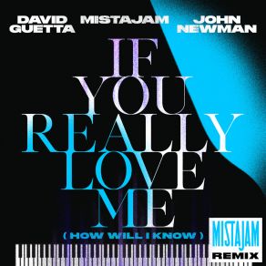 Download track If You Really Love Me (How Will I Know) (MistaJam Remix) MistaJam