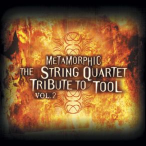 Download track Lateralus The Vitamin String Quartet