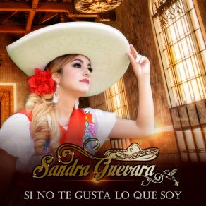 Download track MI Gran Amor Sandra Guevara