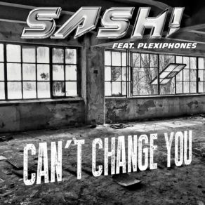 Download track Can't Change You (Jay Frog Alternative Remix) SASH!, Plexiphones