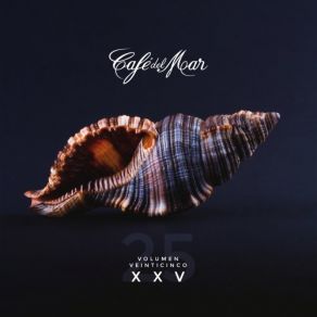 Download track The Edge (Swarvy Remix) Café Del MarQuantic, Sly5thAve