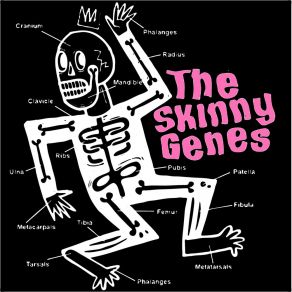Download track Blue Lady Down Skinny Genes