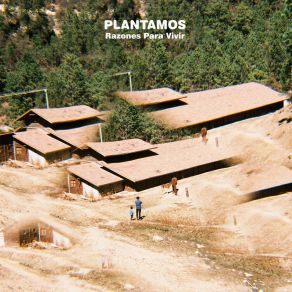 Download track Cuentos Plantamos