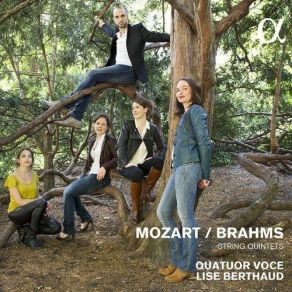 Download track 6. Brahms: String Quintet No. 2 In G Major Op. 111 - II. Adagio Lise Berthaud, Quatuor Voce