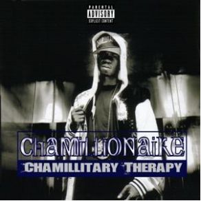 Download track Chamillitary Street Check (Outro) Chamillionaire