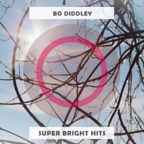 Download track Lazy Women Bo Diddley