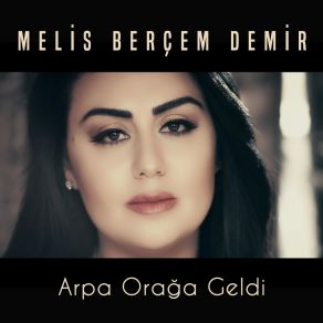 Download track Arpa Orağa Geldi Melis Berçem Demir