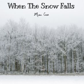 Download track When The Snow Falls Misu Cao