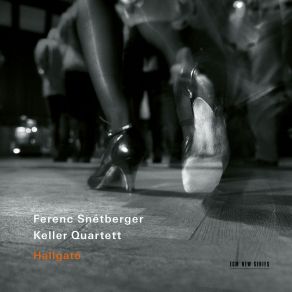 Download track 02.2. Emlékek. Adagio (Arr. For Guitar And String Quintet) (Live) Ferenc Snetberger, Keller Quartett