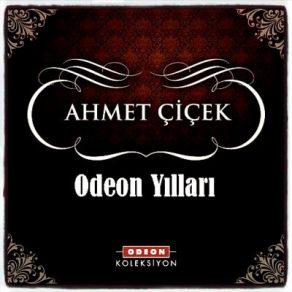 Download track Avşar Güzeli Ahmet Çiçek