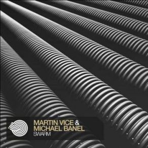 Download track Swarm Martin Vice, Michael Banel
