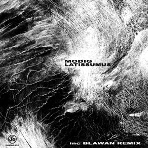 Download track Latissimus (Blawan Remix) Modig