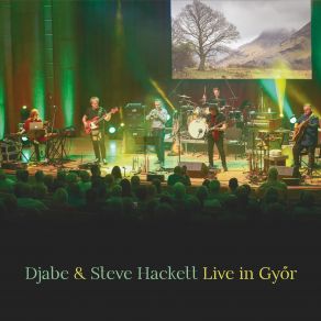 Download track Golden Sand (Live, Győr, 21 August 2022) Steve Hackett, Djabe