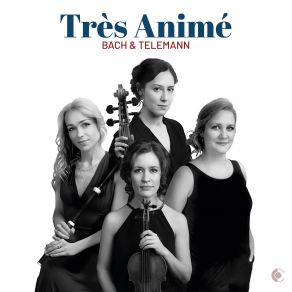 Download track 08 Paris Quartet No. 6 In E Minor, TWV 43 _ E4 _ I. Prélude Très Animé