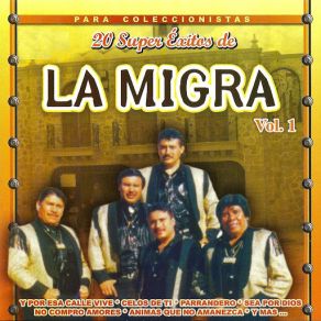 Download track Parrandero La Migra