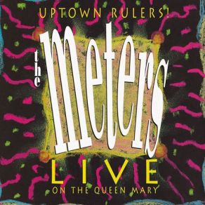 Download track Rocking Pneumonia And The Boogie Woogie Flu Something You Got I Know You Don't Love Me No More Everybody Loves A Lover (Live) The Meters