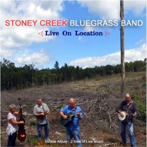 Download track Nashville Skyline Rag (Live) Stoney Creek, The Bluegrass Band
