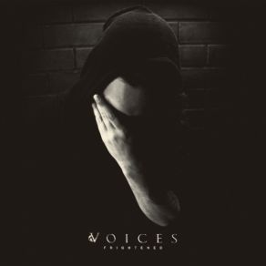 Download track Home Movies The Voices