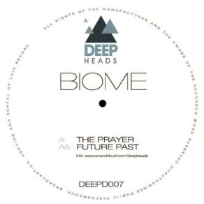 Download track Future Past Chimpo & Biome
