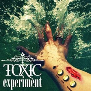 Download track Can'T Get You Off My Mind Toxic