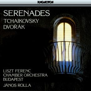 Download track 01 Serenade In C-Major For Strings Op. 48 - I. Pezzo In Forma Di Sonatina Franz Liszt Chamber Orchestra